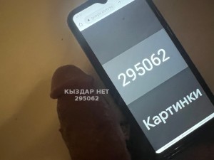 Жиголо Атырау Парень№295062 Ball Фотография №2367412